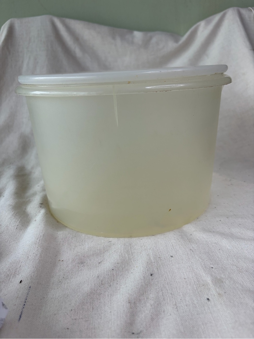 Classic Translucent Storage Container with Lid